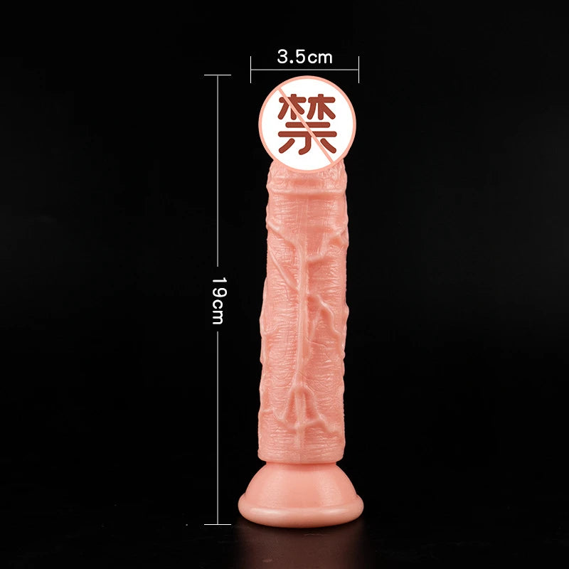 5 Size Realistic Women's Dildos