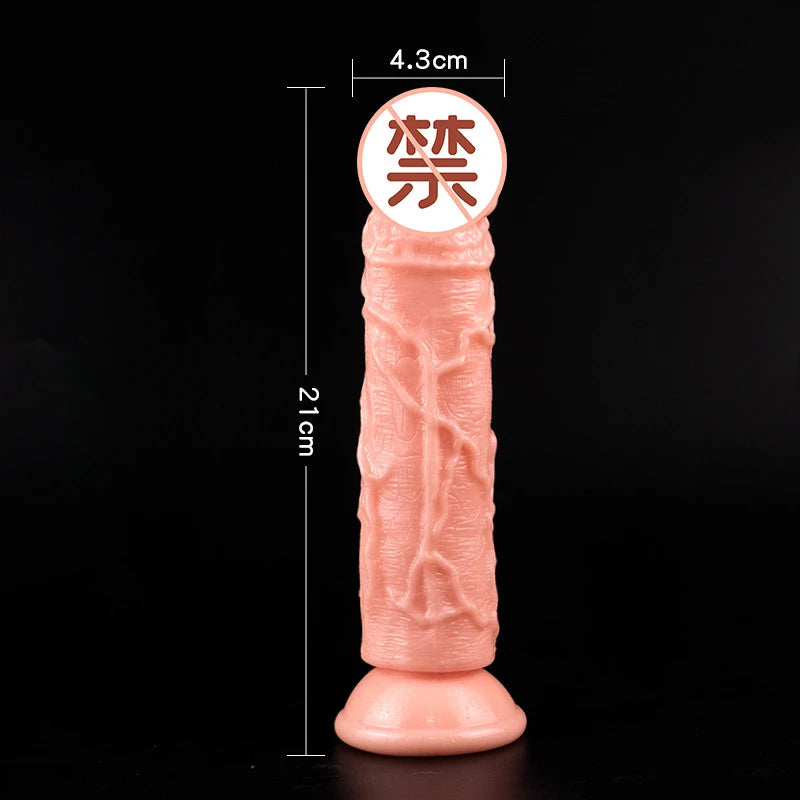 5 Size Realistic Women's Dildos